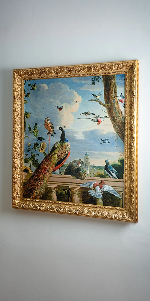 Mietshausverwaltung Würzburg